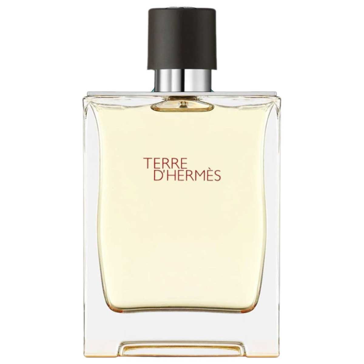 Hermes Terre D’Hermes Eau de Toilette